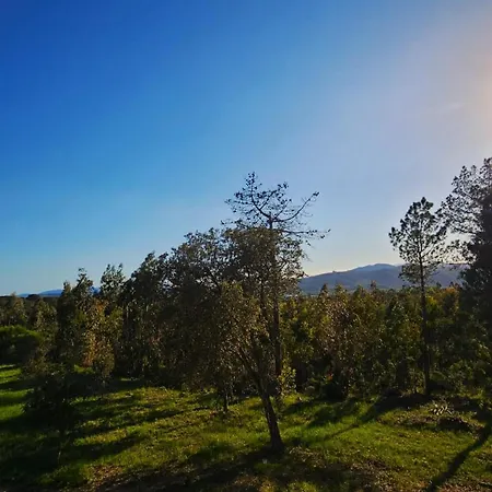 Villadora Santa Coloma De Farners